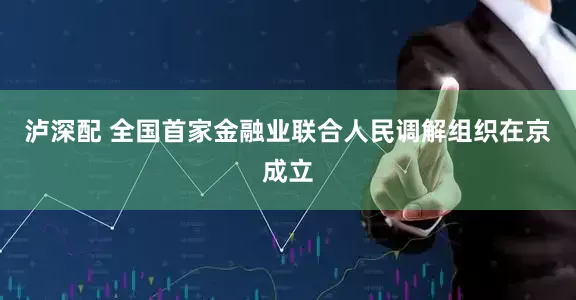 泸深配 全国首家金融业联合人民调解组织在京成立