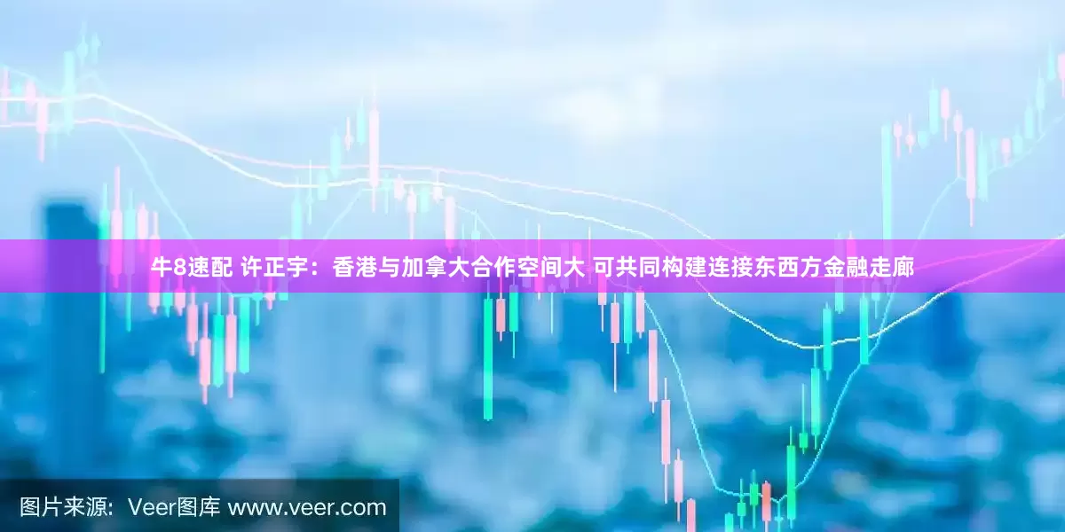 牛8速配 许正宇：香港与加拿大合作空间大 可共同构建连接东西方金融走廊