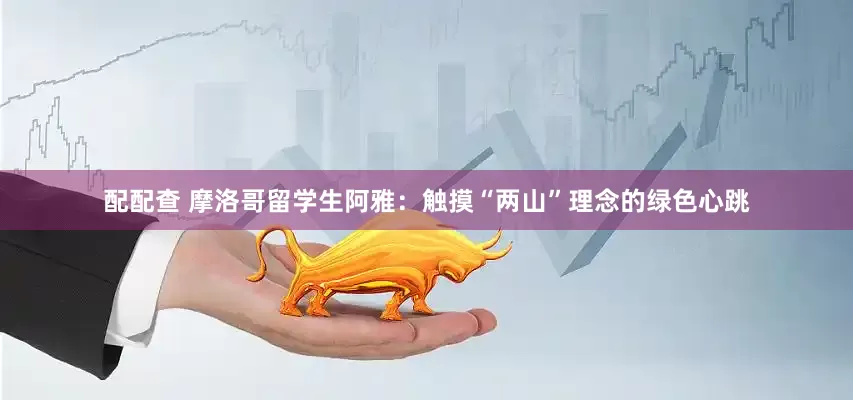 配配查 摩洛哥留学生阿雅：触摸“两山”理念的绿色心跳