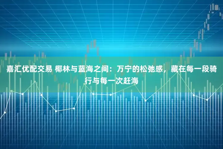 嘉汇优配交易 椰林与蓝海之间：万宁的松弛感，藏在每一段骑行与每一次赶海